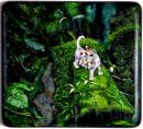 Utopia:Jungle cat